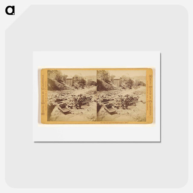 アートポストカード-The Old Fashioned Rocker and a 49er
 - エドワード マイブリッジ Postcard.