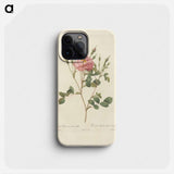 Rose illustration - Pierre Joseph Redouté Phone Case.