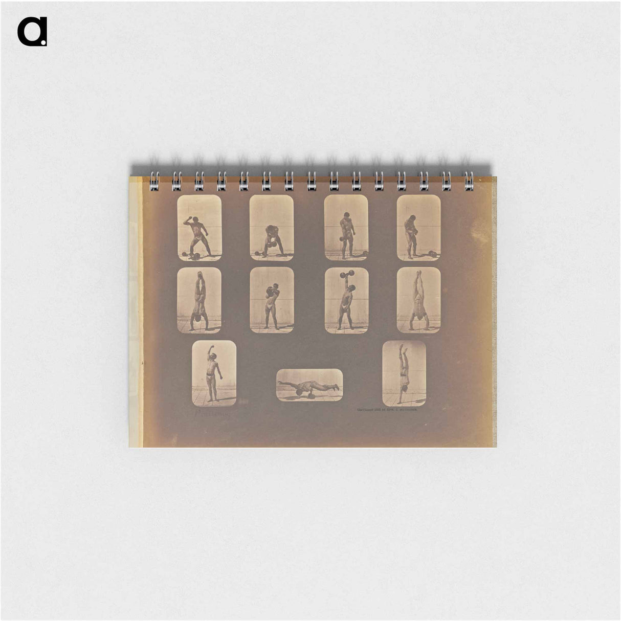 アートメモ帳-Posturing
 - エドワード マイブリッジ Memo.