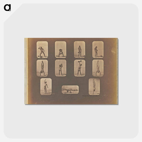 アートポストカード-Posturing
 - エドワード マイブリッジ Postcard.