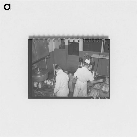 アートメモ帳-Pea Vinery
 - ラッセル リー Memo.