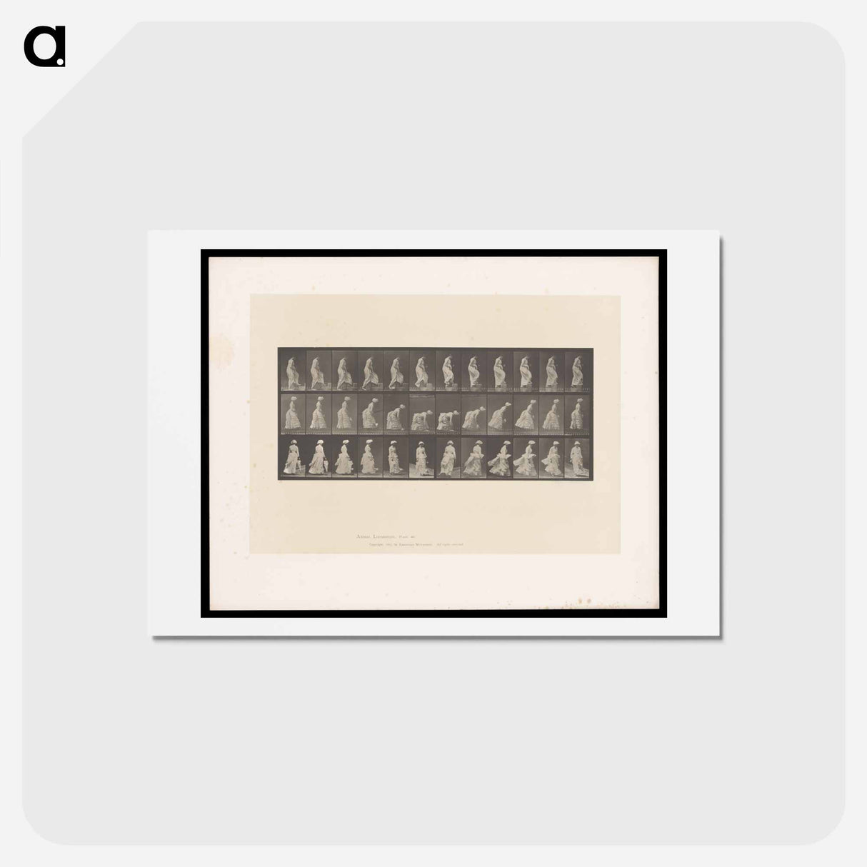 アートポストカード-Ascending Figures
 - エドワード マイブリッジ Postcard.