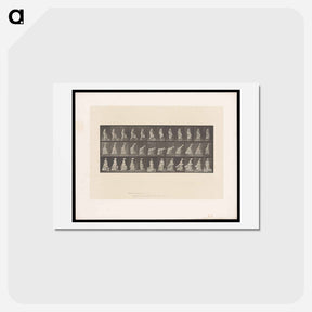 アートポストカード-Ascending Figures
 - エドワード マイブリッジ Postcard.