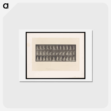 アートポストカード-Ascending Figures
 - エドワード マイブリッジ Postcard.