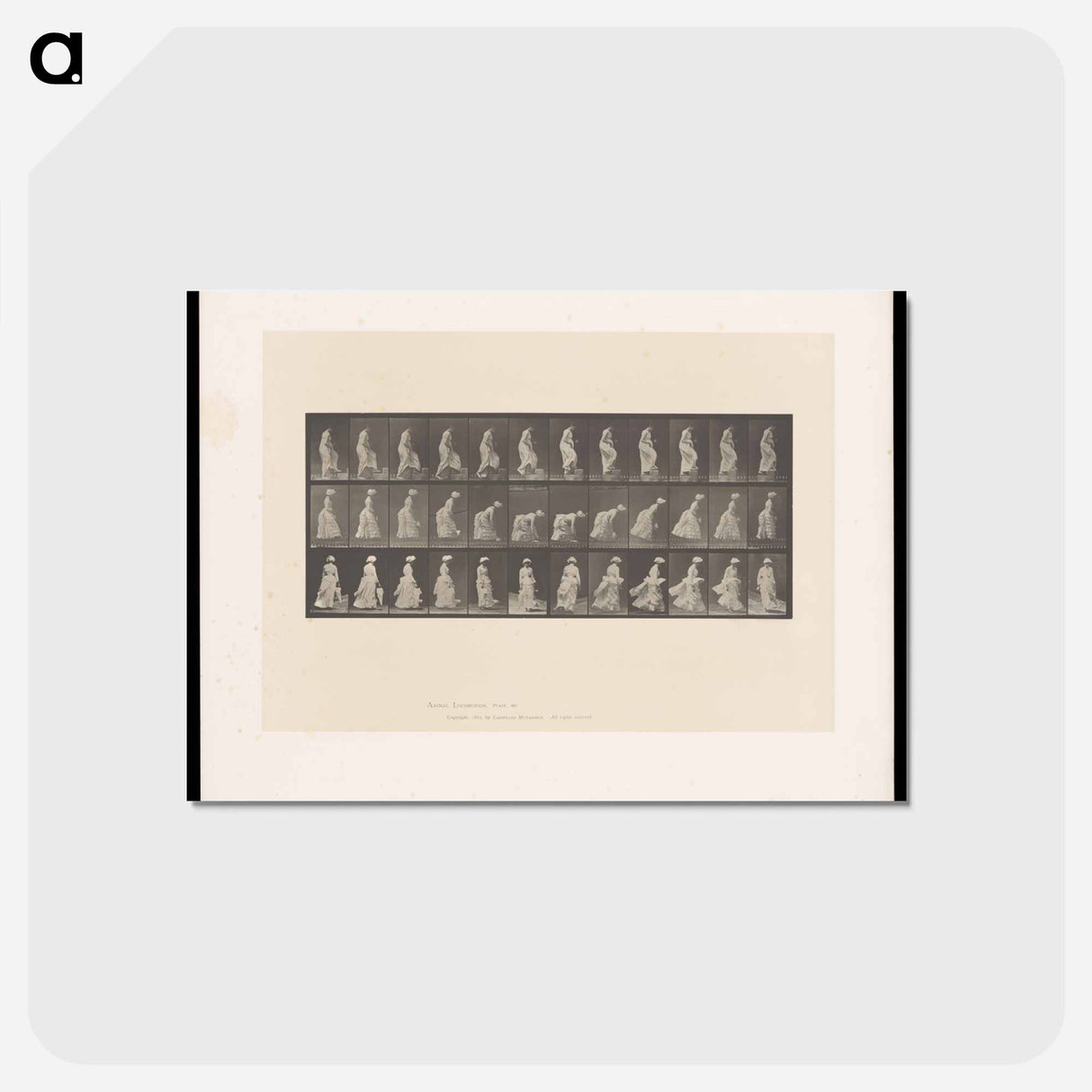 アートポストカード-Ascending Figures
 - エドワード マイブリッジ Postcard.