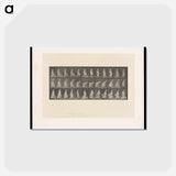 アートポストカード-Ascending Figures
 - エドワード マイブリッジ Postcard.