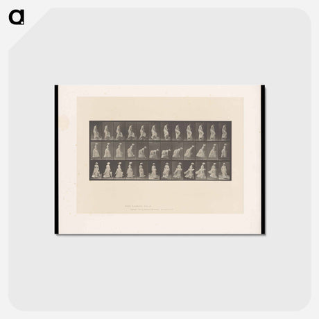 アートポストカード-Ascending Figures
 - エドワード マイブリッジ Postcard.
