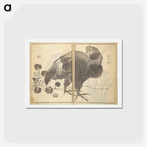 アートポストカード-Old Manji’s Cursive Picture Album - 葛飾 北斎 Postcard.