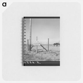 アートメモ帳-Untitled photo - ドロテア ラング Memo.