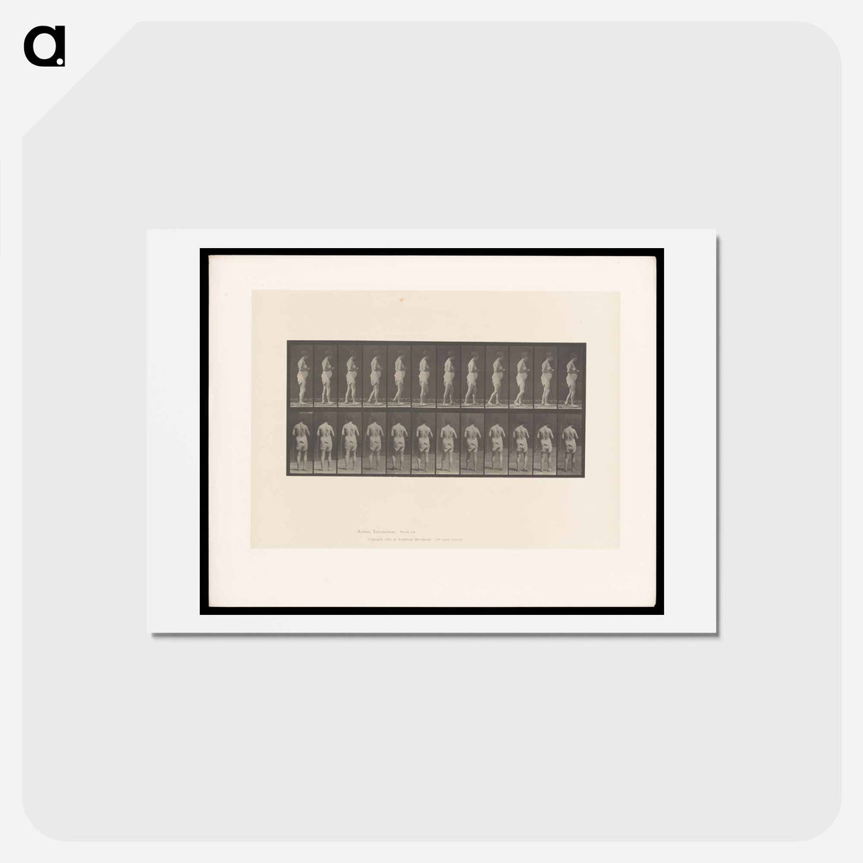 アートポストカード-Woman Walking
 - エドワード マイブリッジ Postcard.