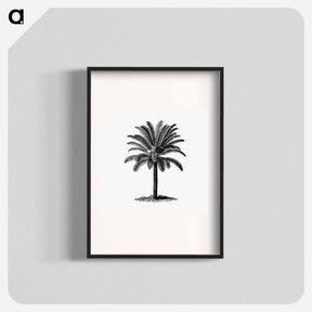 アートポスター-Palm Tree Engraving
 - 大英図書館 Poster.