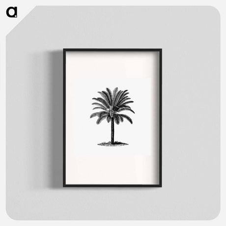アートポスター-Palm Tree Engraving
 - 大英図書館 Poster.