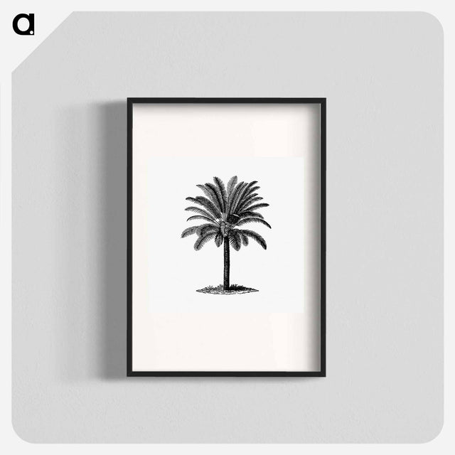 アートポスター-Palm Tree Engraving
 - 大英図書館 Poster.