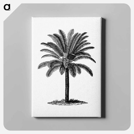 アートパネル-Palm Tree Engraving
 - 大英図書館 Canvas.