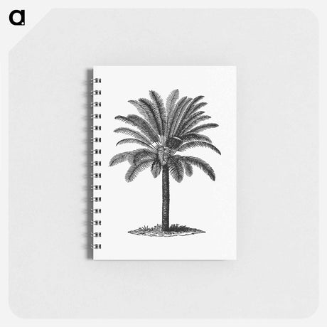 アートメモ帳-Palm Tree Engraving
 - 大英図書館 Memo.