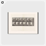 アートポストカード-Prowling Tiger
 - エドワード マイブリッジ Postcard.