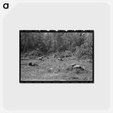 アートポストカード-Effie Logging Camp
 - ラッセル リー Postcard.