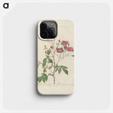Rose illustration - Pierre Joseph Redouté Phone Case.