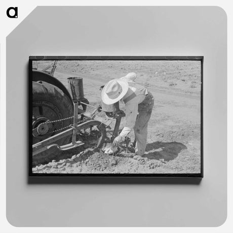アートパネル-Hidalgo County Farm
 - ラッセル リー Canvas.