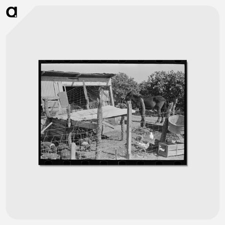 アートポストカード-Hidalgo County Farm
 - ラッセル リー Postcard.