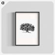 アートポスター-Victorian Tree Engraving
 - 大英図書館 Poster.