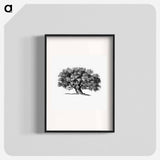 アートポスター-Victorian Tree Engraving
 - 大英図書館 Poster.