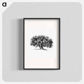 アートポスター-Victorian Tree Engraving
 - 大英図書館 Poster.