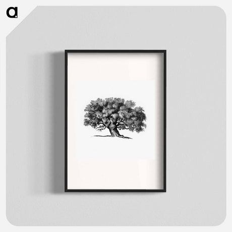 アートポスター-Victorian Tree Engraving
 - 大英図書館 Poster.