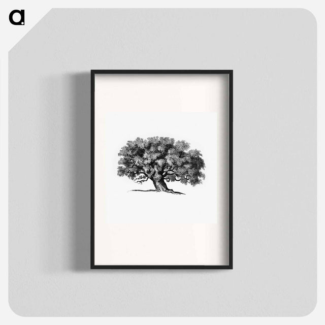 アートポスター-Victorian Tree Engraving
 - 大英図書館 Poster.