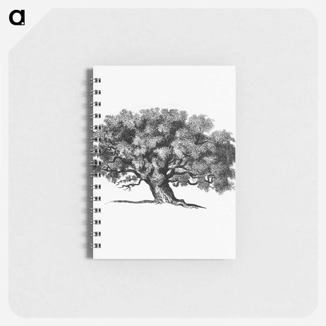 アートメモ帳-Victorian Tree Engraving
 - 大英図書館 Memo.