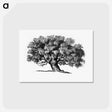 アートポストカード-Victorian Tree Engraving
 - 大英図書館 Postcard.
