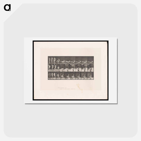 アートポストカード-Hammock Rest
 - エドワード マイブリッジ Postcard.