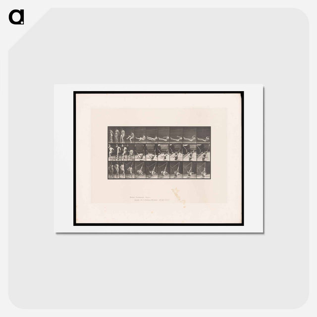 アートポストカード-Hammock Rest
 - エドワード マイブリッジ Postcard.