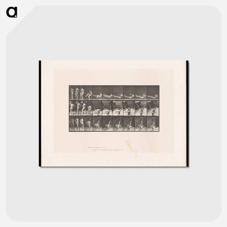 アートポストカード-Hammock Rest
 - エドワード マイブリッジ Postcard.