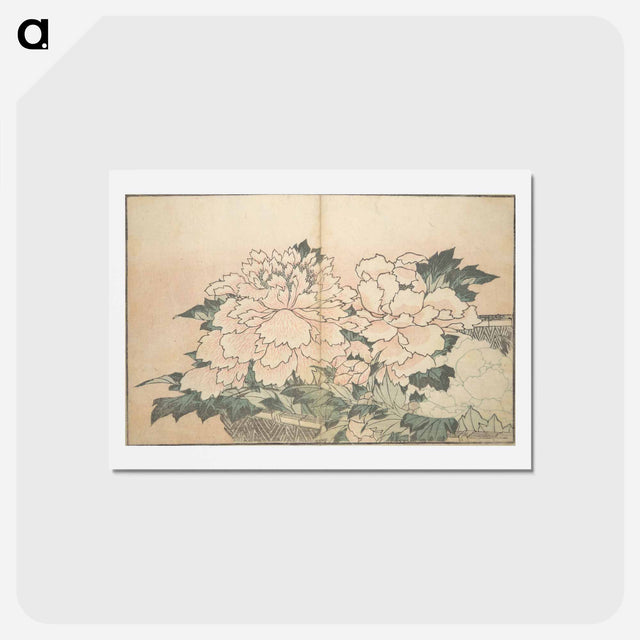 アートポストカード-A Realistic Sketchbook by Hokusai - 葛飾 北斎 Postcard.