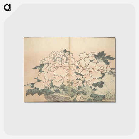 アートポストカード-A Realistic Sketchbook by Hokusai - 葛飾 北斎 Postcard.