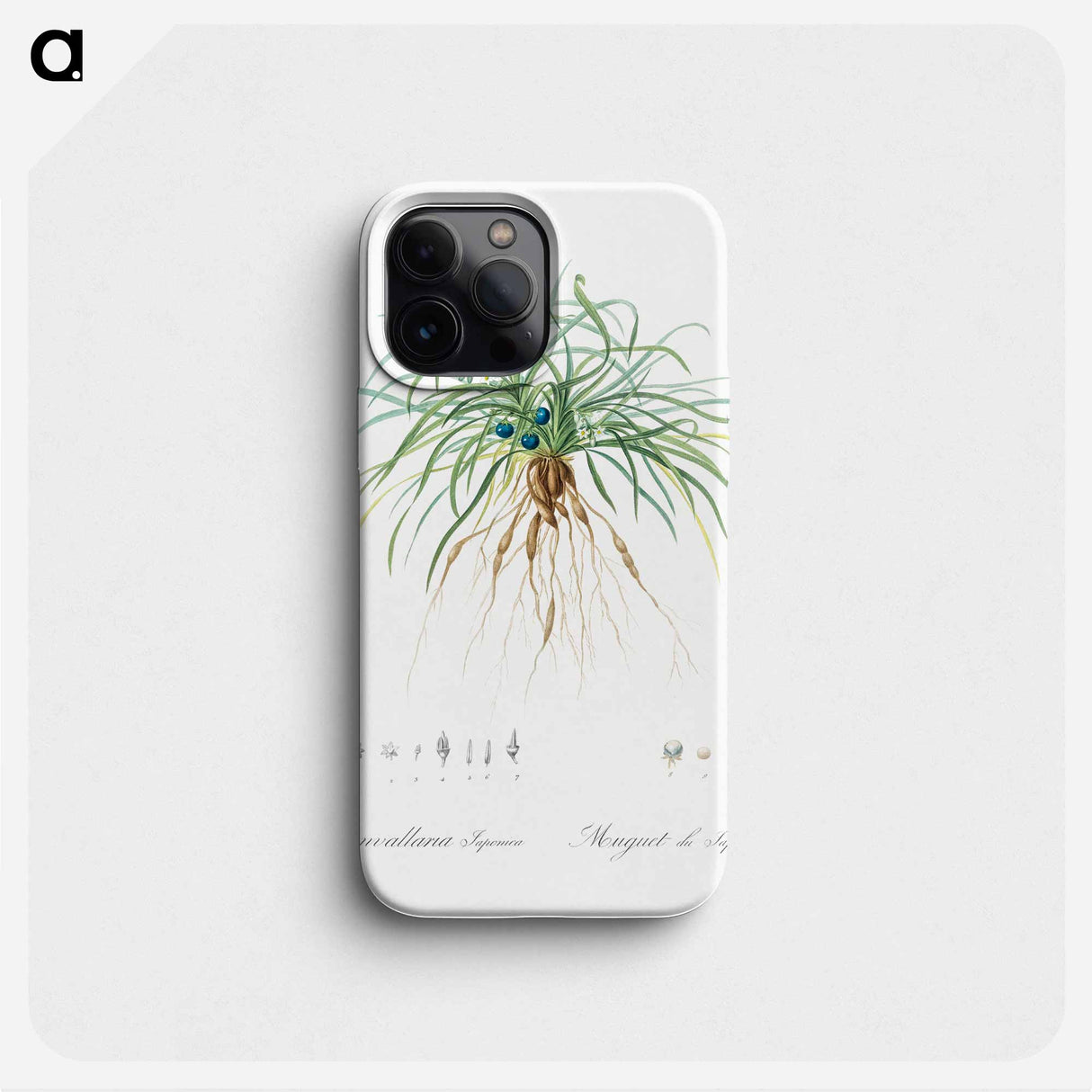 Convallaria japonica illustration - ピエール ジョゼフ ルドゥーテ Phone Case.