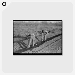 アートポストカード-El Indio Irrigation
 - ラッセル リー Postcard.