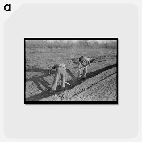 アートポストカード-El Indio Irrigation
 - ラッセル リー Postcard.