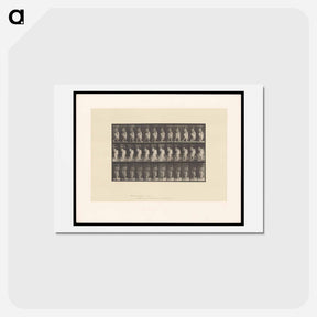 アートポストカード-Mother and Child
 - エドワード マイブリッジ Postcard.