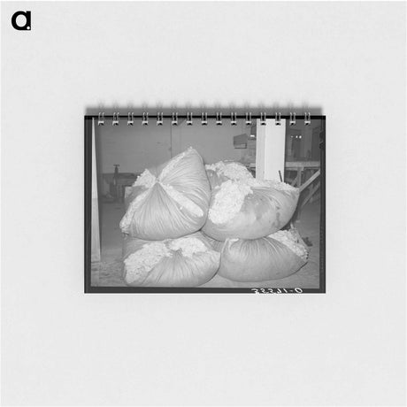 アートメモ帳-Wife of Pea Farmer at Vinery
 - ラッセル リー Memo.