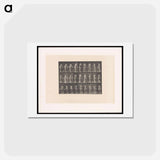 アートポストカード-Washing and Turning
 - エドワード マイブリッジ Postcard.