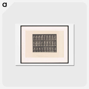 アートポストカード-Washing and Turning
 - エドワード マイブリッジ Postcard.