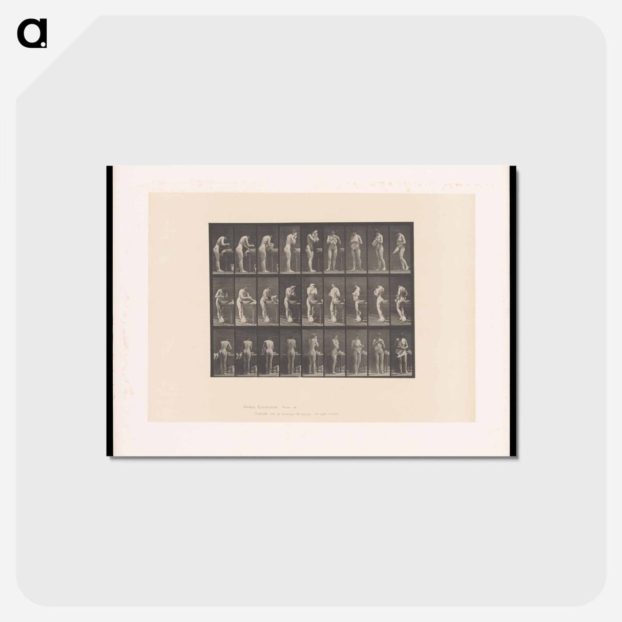 アートポストカード-Washing and Turning
 - エドワード マイブリッジ Postcard.