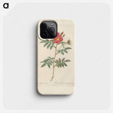 Rose illustration - ピエール ジョゼフ ルドゥーテ Phone Case.