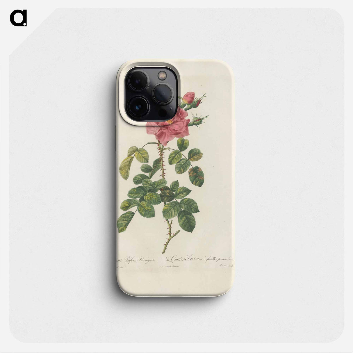 Rose illustration - ピエール ジョゼフ ルドゥーテ Phone Case.