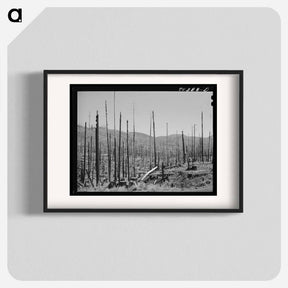 アートポスター-Clatsop County Burnscape
 - ラッセル リー Poster.