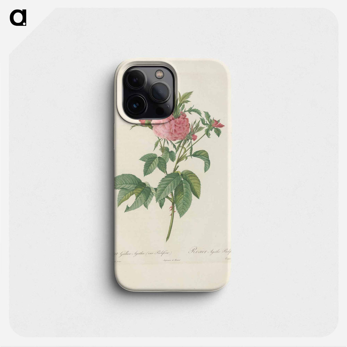 Rose illustration - ピエール ジョゼフ ルドゥーテ Phone Case.