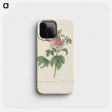 Rose illustration - ピエール ジョゼフ ルドゥーテ Phone Case.