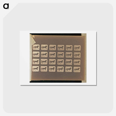 アートポストカード-Trotting
 - エドワード マイブリッジ Postcard.